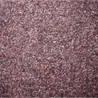 Seminte aronia