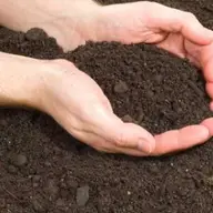 Timisoara - Solurile si Resursele de subsol