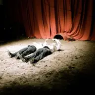 Rosencrantz si Guildenstern sunt morti - din nou cel mai bun spectacol