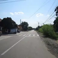 Strada Plopilor