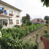 Voiteg