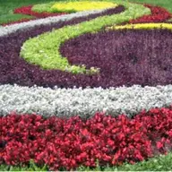 West Garden