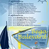 Fundatia Rubin la Bega Bulevard