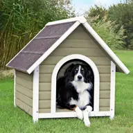 Gradinita & Pensiune Canina