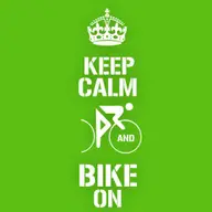 Participarea Verde pentru Biciclete in cadrul Festivalului PLAI 2013