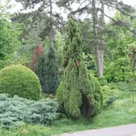 Ziua Gradinii Botanice
