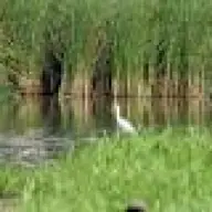 Agentia Regionala pentru Protectia Mediului Timisoara (ARPM)