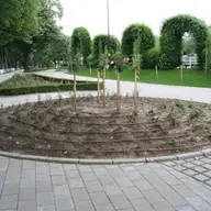 Parcul Rozelor