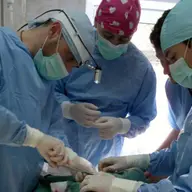 Cabinet veterinar in Timisoara