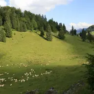 Muntii Poiana Rusca in imagini, alaturi de alte destinatii banatene