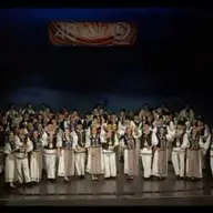 Ansamblul Folcloric Timisul