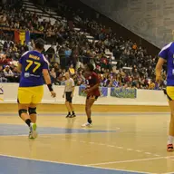 Romania 28-18 Angola