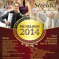 Revelion 2014 la Hotel-Restaurant Strelitia