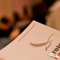 Auditul intern pentru societatile comerciale