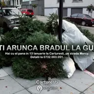 Nu-ti arunca bradul la gunoi!