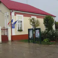 Primaria Dudestii Noi