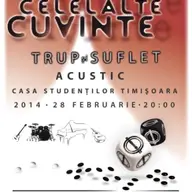 Program si reguli de acces la concertul Celelalte Cuvinte – Trup si Suflet, de la Timisoara