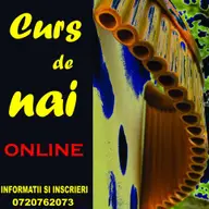 Cursuri individuale de nai online