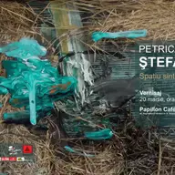 Expozitia “Spatiu sintetic” - Petrica Stefan