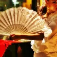 Flamenco Show