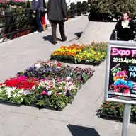Expo Flora - aprilie 2014