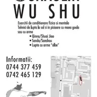 Shaolin Wu Shu - Cursuri de Arte Martiale