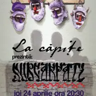 Concert extraordinar Subcarpati