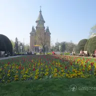 Din invatamintele crizei: Timisoara este cel mai „sigur” oras pentru investitia intr-o locuinta