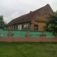 Vand casa cu gradina in Belint