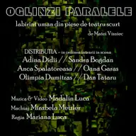 Oglinzi Paralele