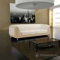 Canapele piele by Casa Barani Timisoara