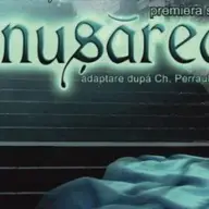 Cenusareasa @ Musical interpretat de copii, pentru copii