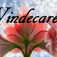 Conferinta despre vindecare in noile energii