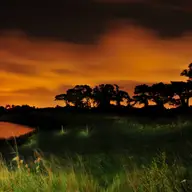 Cum sa faci fotografii reusite in vacanta