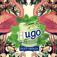 Hugo Deep-Amiaza
