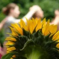 Turneu: Osho "Omul Total - Ritmul Celebrarii"