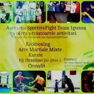Cursuri de Arte martiale - Kick-boxing, MMA, Brazilian jiu-jitsu, Karate
