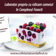 NOU Laborator propriu - Cofetaria Trandafirul Timisoara