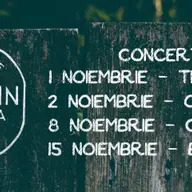 Concert Catalin & Ramona Lup