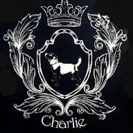 Charlie's Pub