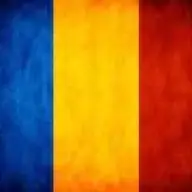 Cursuri individuale de limba romana in Timisoara