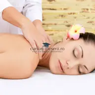 Curs masaj in Timisoara