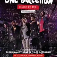 One Direction: Where We Are - The Concert Film