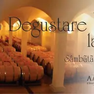 Degustare Vinarte la enoteca-restaurant Amphora.
