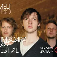 Melt Trio