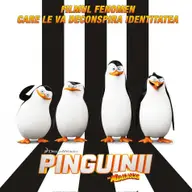 Pinguinii din Madagascar