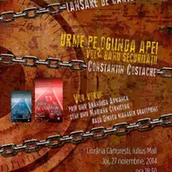 Urme pe oglinda apei - Constantin Costache