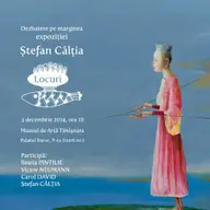 Dezbatere Stefan Caltia.Locuri