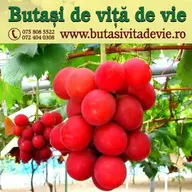 Soarele din Vest