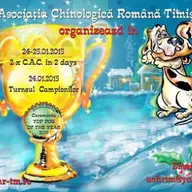 2 X CAC & Turneul campionilor {Ch of Ch}, Top Dog of the Year
